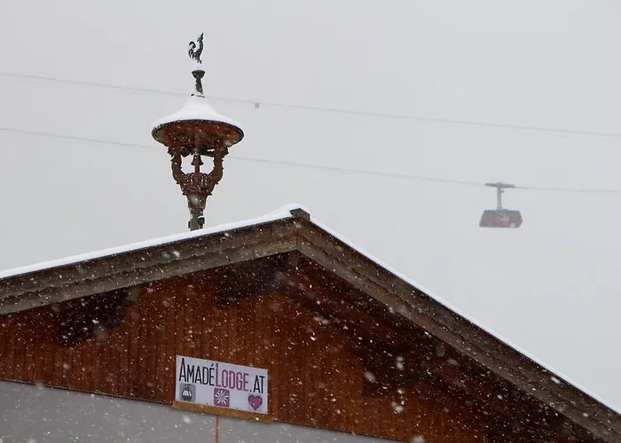 Amadelodge アパート