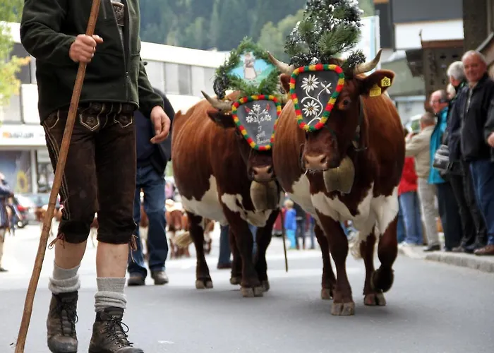 Amadelodge Apartment