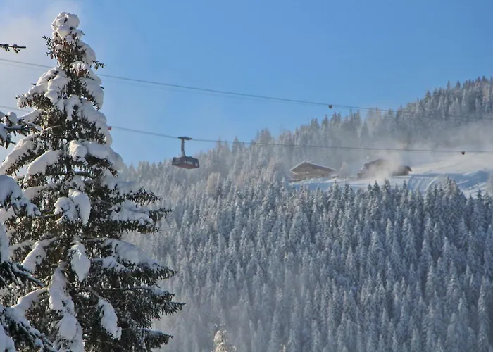 Apartment Amadelodge Wagrain